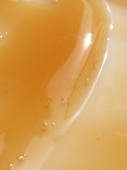 Chebula Active Serum